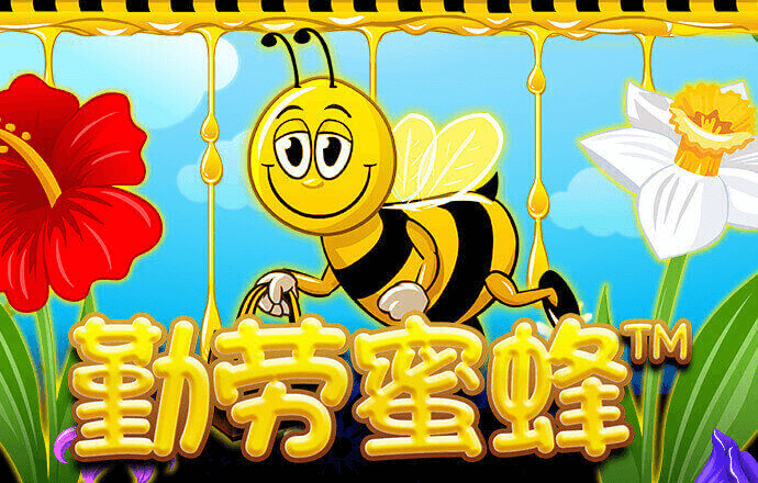 半岛平台app